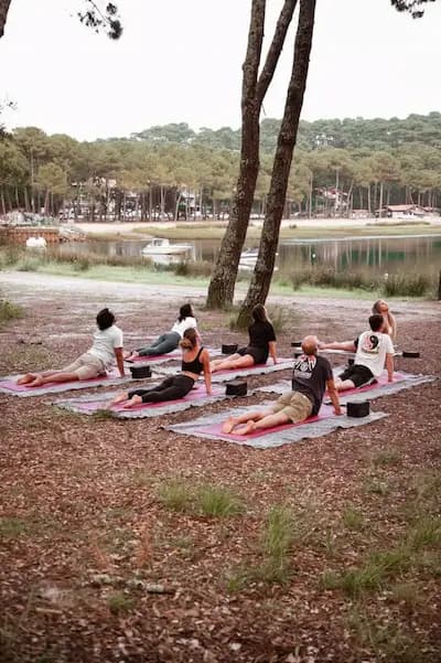 Under the pines beside a Landes lake, a group moves through cobra pose on pink yoga mats