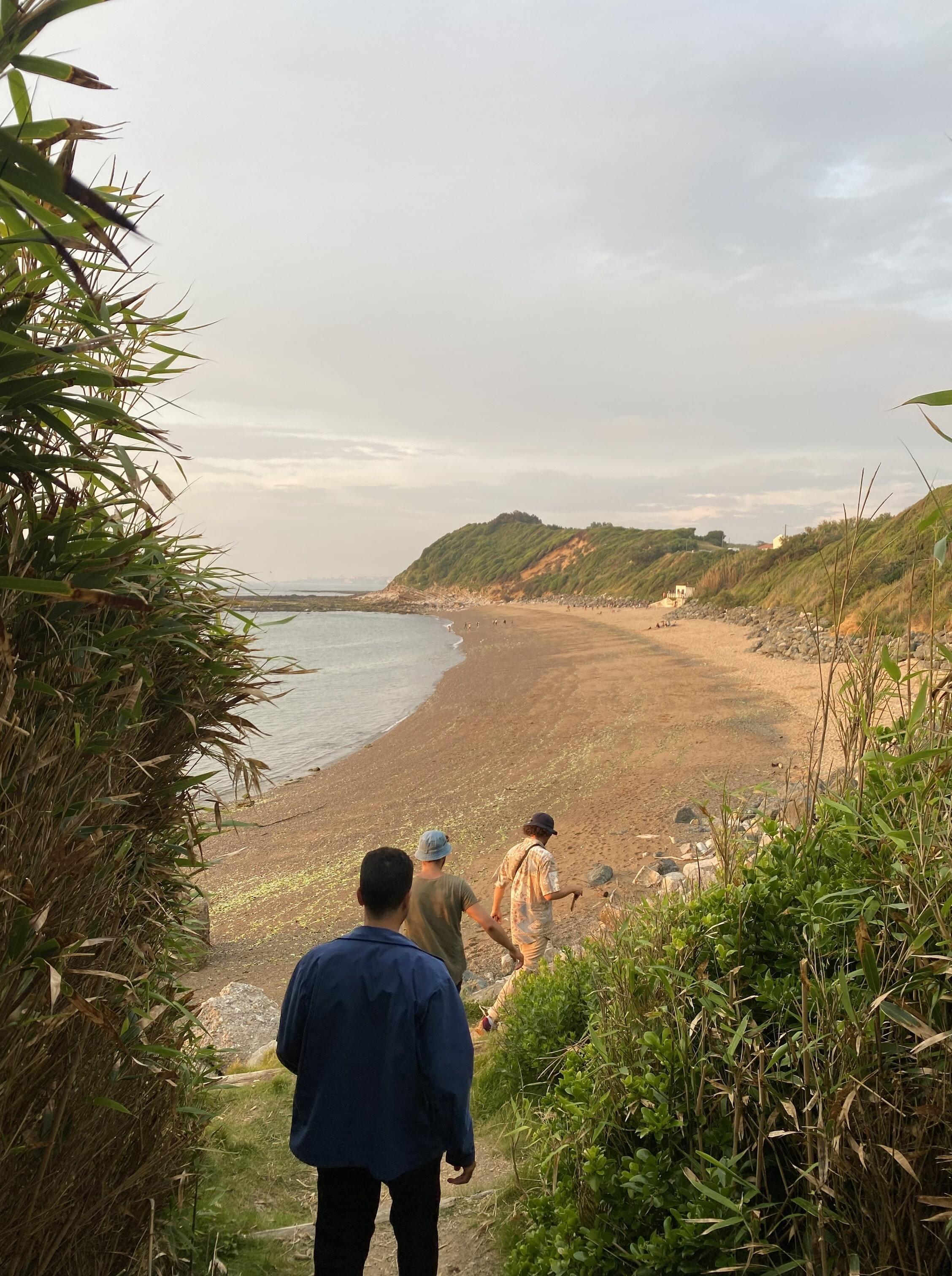 Lafitinia surf