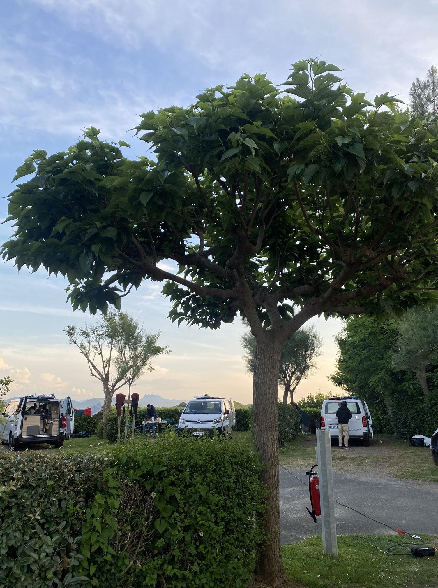 Campement camping 3