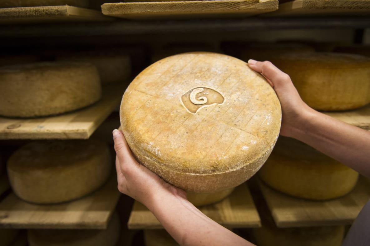 Saint Palais fromage