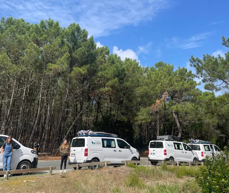 Four white campervans lined up along a forest road edged with tall maritime pine trees